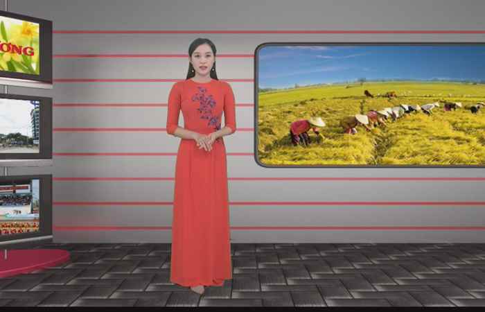 Trang tin địa phương  - thị xã Ngã Năm, thành phố Sóc Trăng, huyện Trần Đề và Long Phú (10-05-2020)